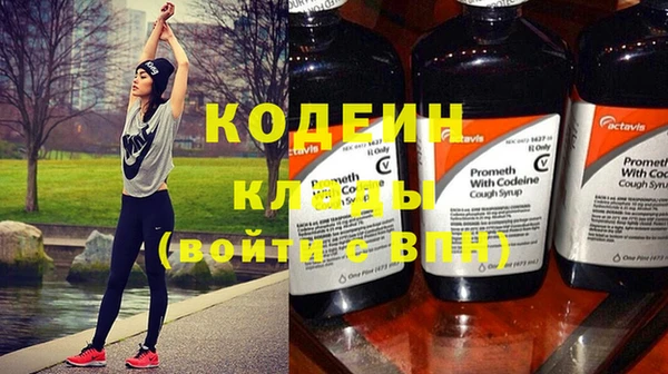индика Баксан