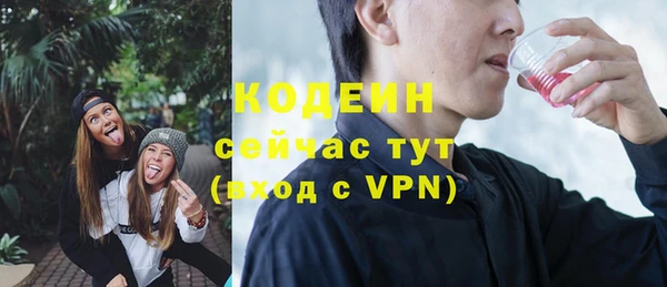 индика Баксан