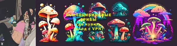индика Баксан