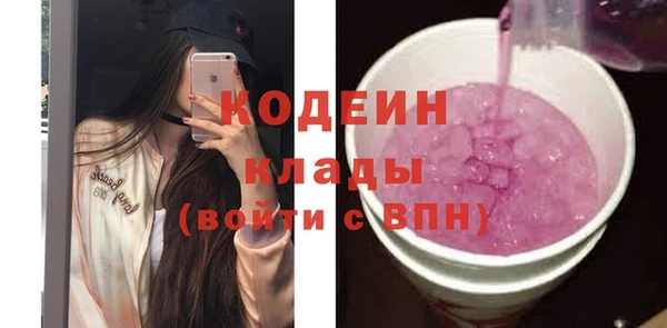индика Баксан