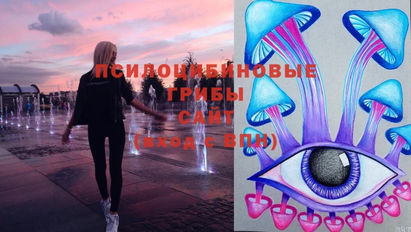 индика Баксан