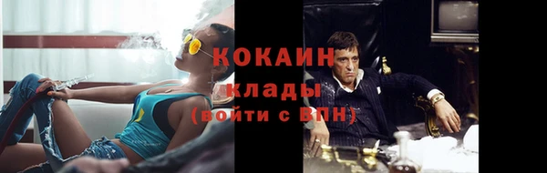 индика Баксан
