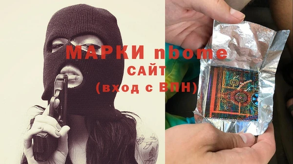 индика Баксан