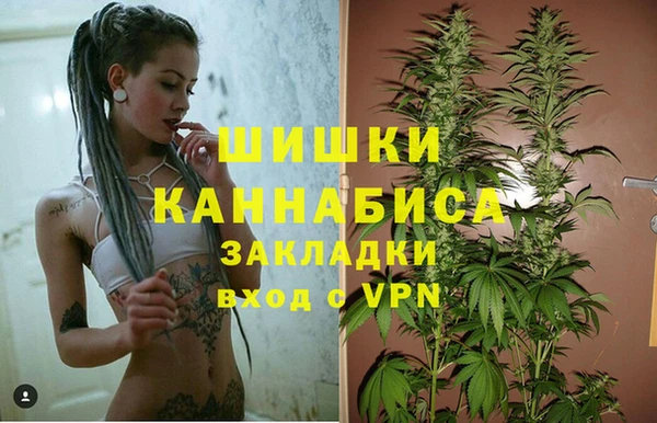 сатива Балабаново