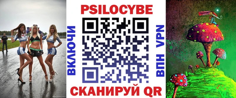 Псилоцибиновые грибы Psilocybe  Купить  Бологое 